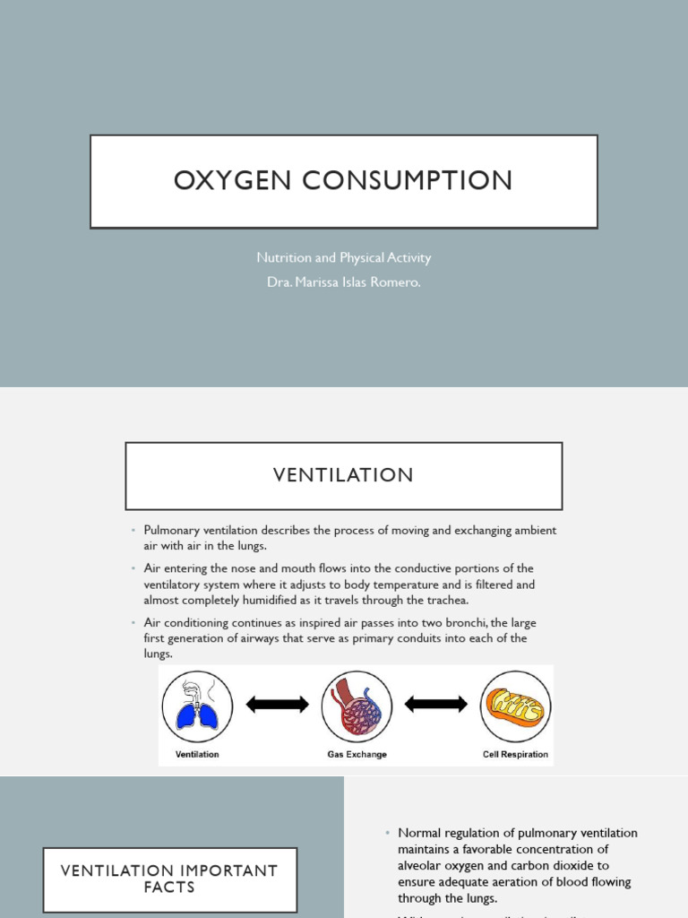 4.oxygen Consumption | PDF | Blood | Breathing