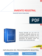 Ppt-Lp-Procedimiento-Registral - Derecho Registral
