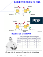 Genetica Bacteriana-3h