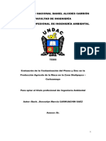 Evaluación de La Contaminación Del Plomo y Zinc en La Producción Agrícola de La Maca en La Zona de Shalipayco - Carhuamayo