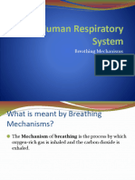 Breathing Mechanisms