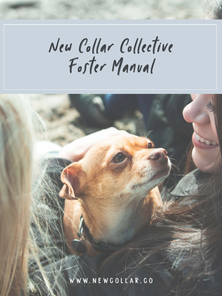 New Collar Collective Foster Manual PDF Leash Domesticated Animals