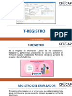 T-Registro - Afp Net - PDT Plame Xomglh2