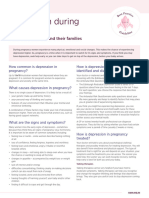 Antenatal Depression - Consumer Fact Sheet