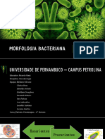 Morfologiabacteriana 151119092713 Lva1 App6891FOTOS