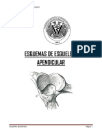 3 Osteologia Apendicular FMVZ 2019