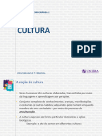 Cultura: Aula 2