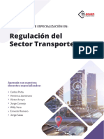 Regulación Del Sector Transporte: Diploma