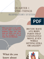 Lecture in Respiratory System