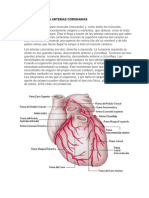 Anatomia de Las Arterias Coronarias