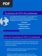 Download Tecnologia Do DNA Recombinante-Aline by api-3800279 SN6997195 doc pdf