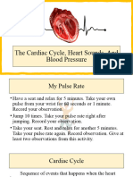 Cardiac Cycle Heart Beat Blood Pressure