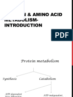 Protein Metabolism Intro