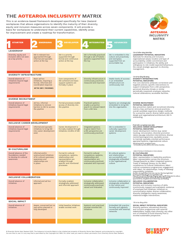 Aotearoa Inclusivity Matrix Overview | PDF | Recruitment | Leadership