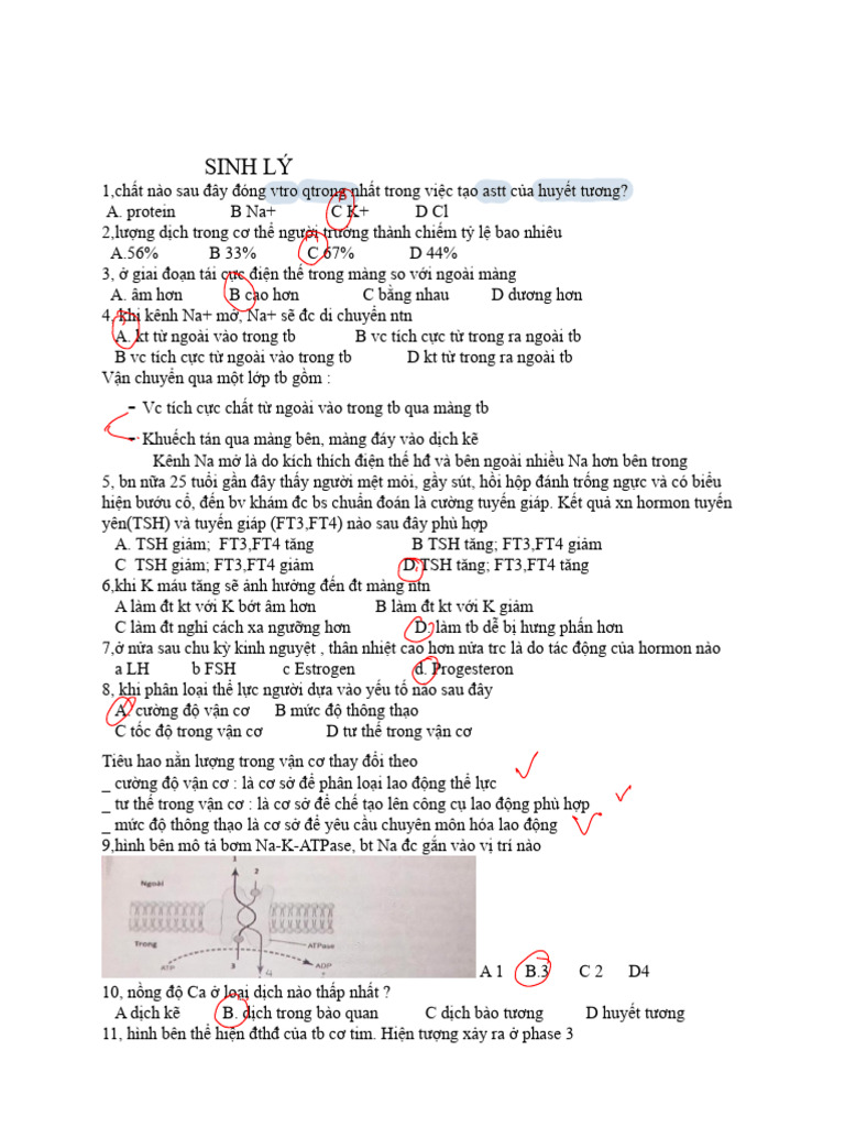 On Tap Sinh Lí GK CK 2 | PDF