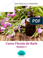 Modulo2 PDF