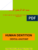 2 - Human Dentition Intro