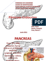 Pancreas Endocrino