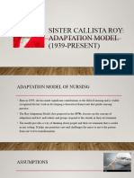 Sister Callista Roy Adaptation Model 2