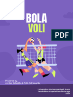 Bola