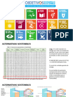 1 ECA AcHuPA Alternativas Sostenibles