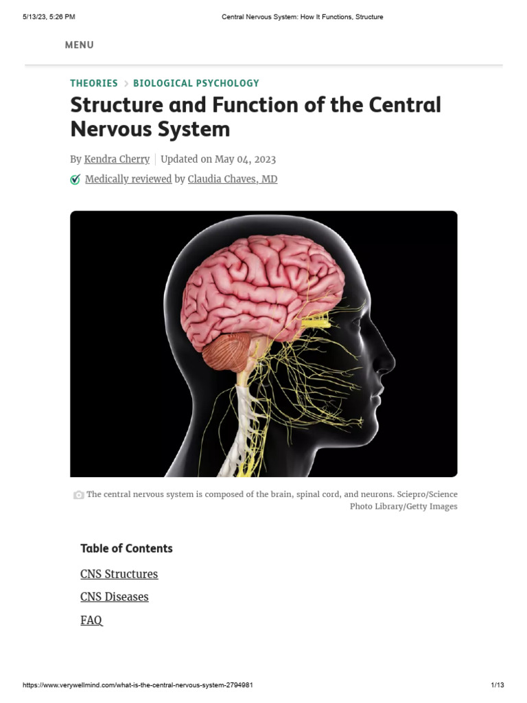 Central Nervous System Structure & Function | PDF | Self-Improvement ...