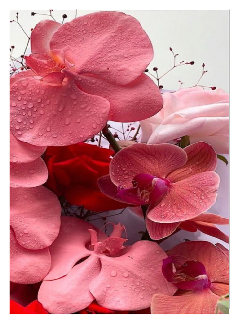 Көліктегі ғашығын блять порно видео