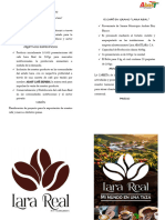 Diptico Fitven PDF