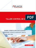 Taller Control de La Gestión