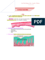 Caderno de Histologia Médica