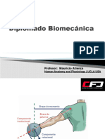 Biomecanica Generalidades CFD $$$$$$$$