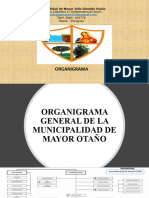 Municipalidad de Mayor Julio Dionisio Otaño