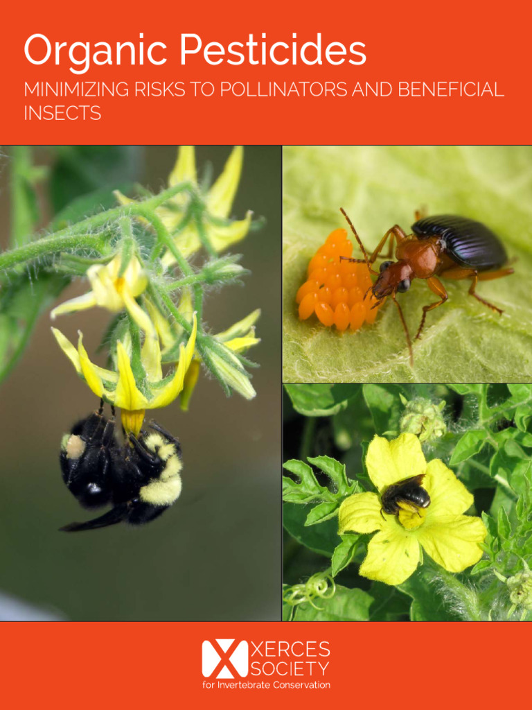 Organic Approved Pesticides | PDF | Pesticide | Insecticide