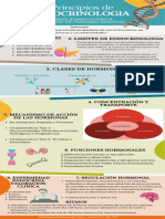 Capitulo 2 Principios de Endocrinologia Infografia