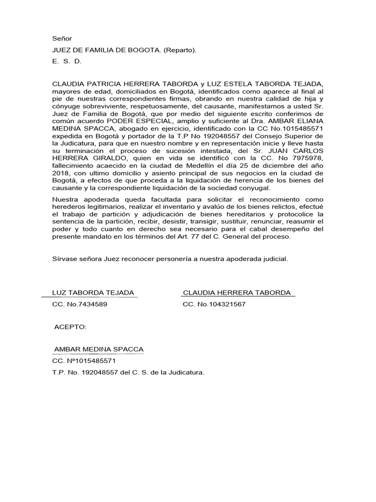 poder-y-demanda-sucesi-n-colombia-descargar-gratis-pdf-propiedad-de