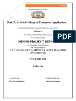 Minor Project Documentation PDF