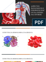 Aspectos Patológicos e Fisiopatológicos Da Anemia Falciforme