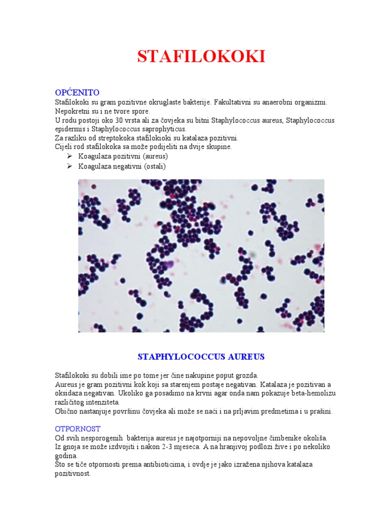 Xonadon qul hojatxonasi