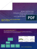 Reino Protoctina Phylum Granuloreticulosa Clase Foraminifera