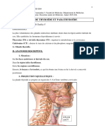 Glande Thyroïde Et Parathyroïde