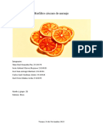 Biofiltro Cáscaras de Naranja 