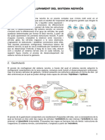 Tema 12 Bio PDF