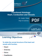 Functional Histology - Heart Conduction and Vessels