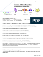 The Chemistry of Cellular Respiration: Instructions: Color The Molecules and Answer The Questions Below