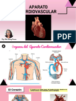 Aparato Cardiovascular