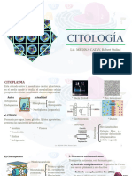 Citología Ii