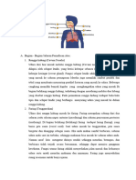 Sistem Pernapasan Atas