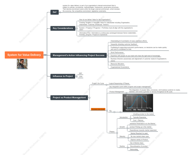 Optimizing Value Delivery Systems | PDF | Project Management | Market ...