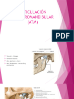 Articulación Temporomandibular (Atm)