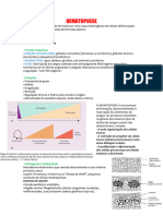 Aula de Hematologia Resumo Hematopoese e Eritropoese